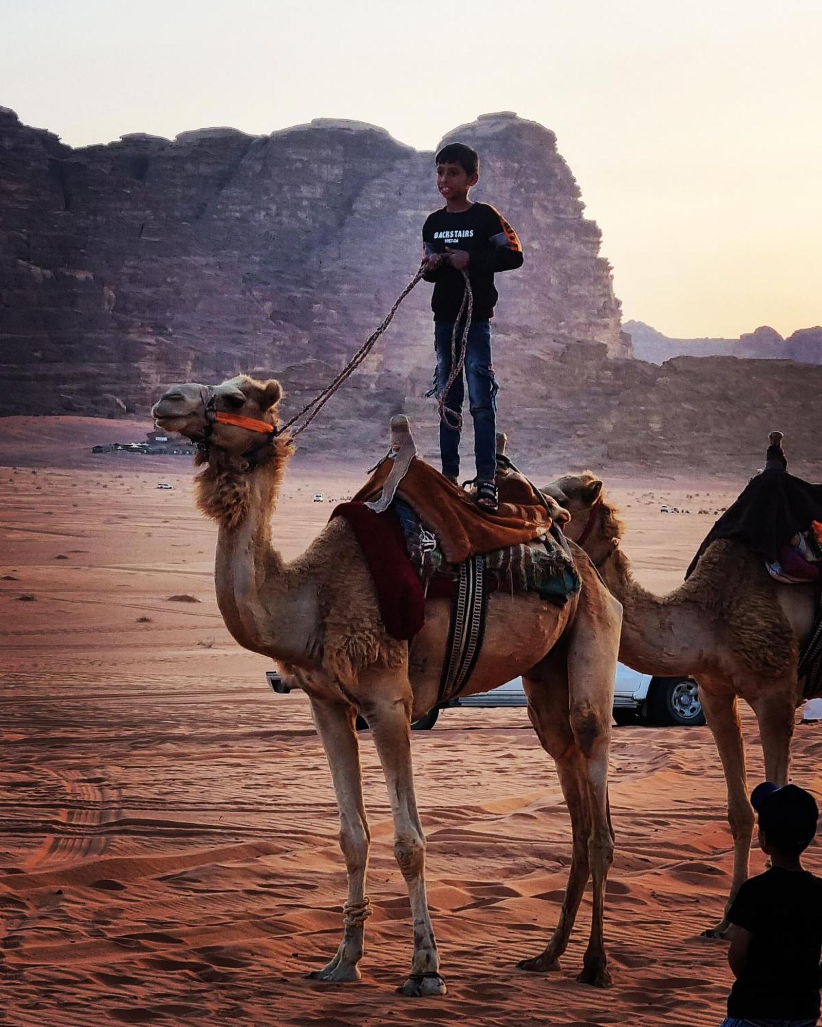 Hotel Desert Knights Camp Wadi Rum Exterior foto